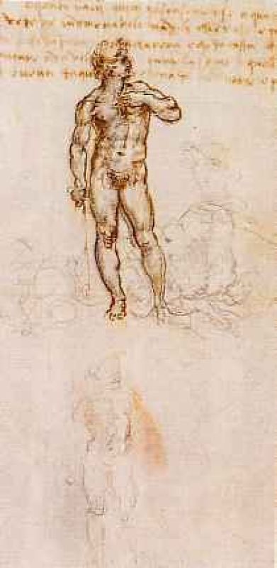 dibujo a partir del david de miguel angel a­ngel (detalle) 1504.jpg